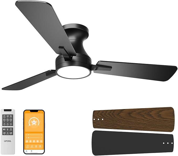 https://m.media-amazon.com/images/I/61ed-1zHUSL._AC_SX679_.jpg