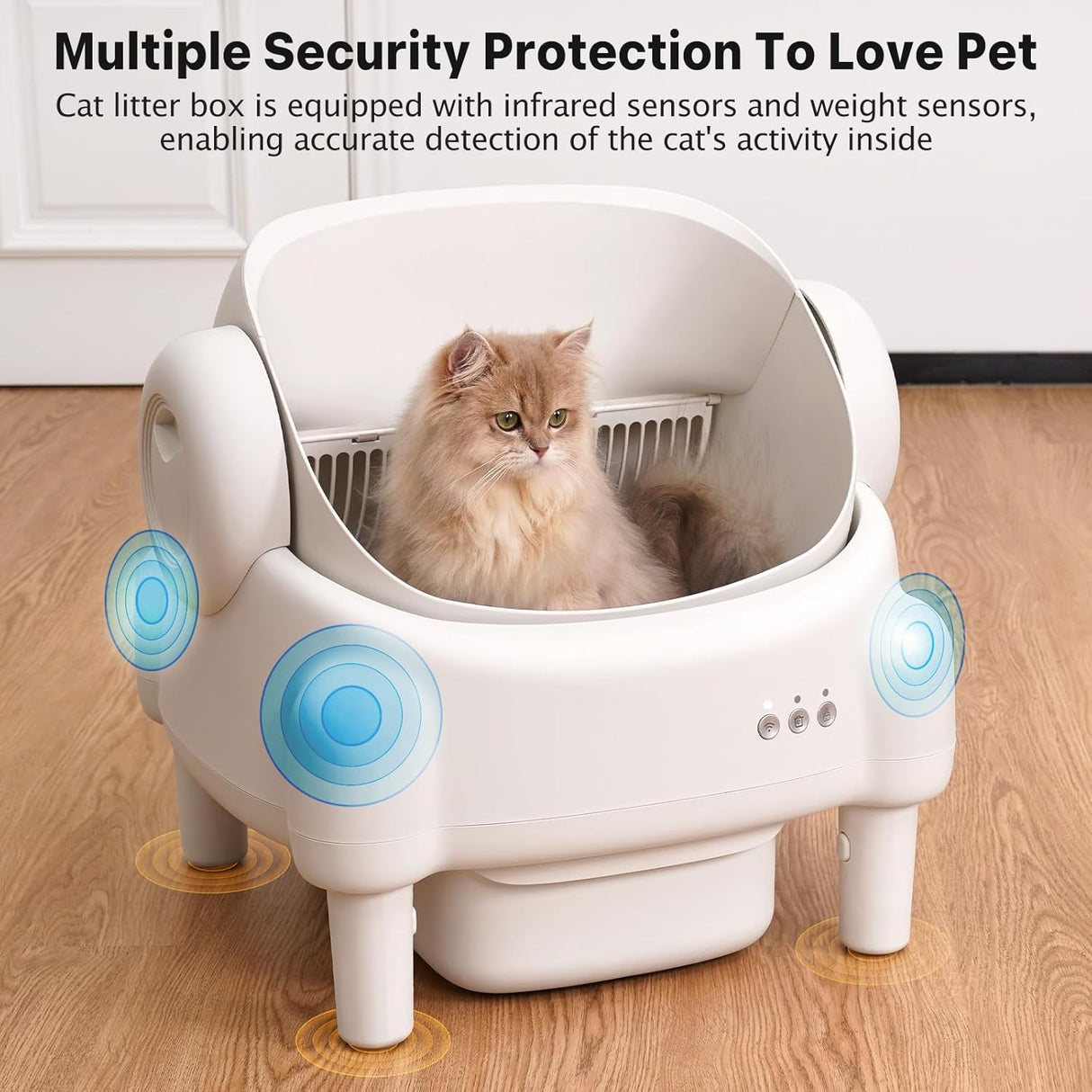https://m.media-amazon.com/images/I/715B53OL69L._AC_SL1500_.jpg