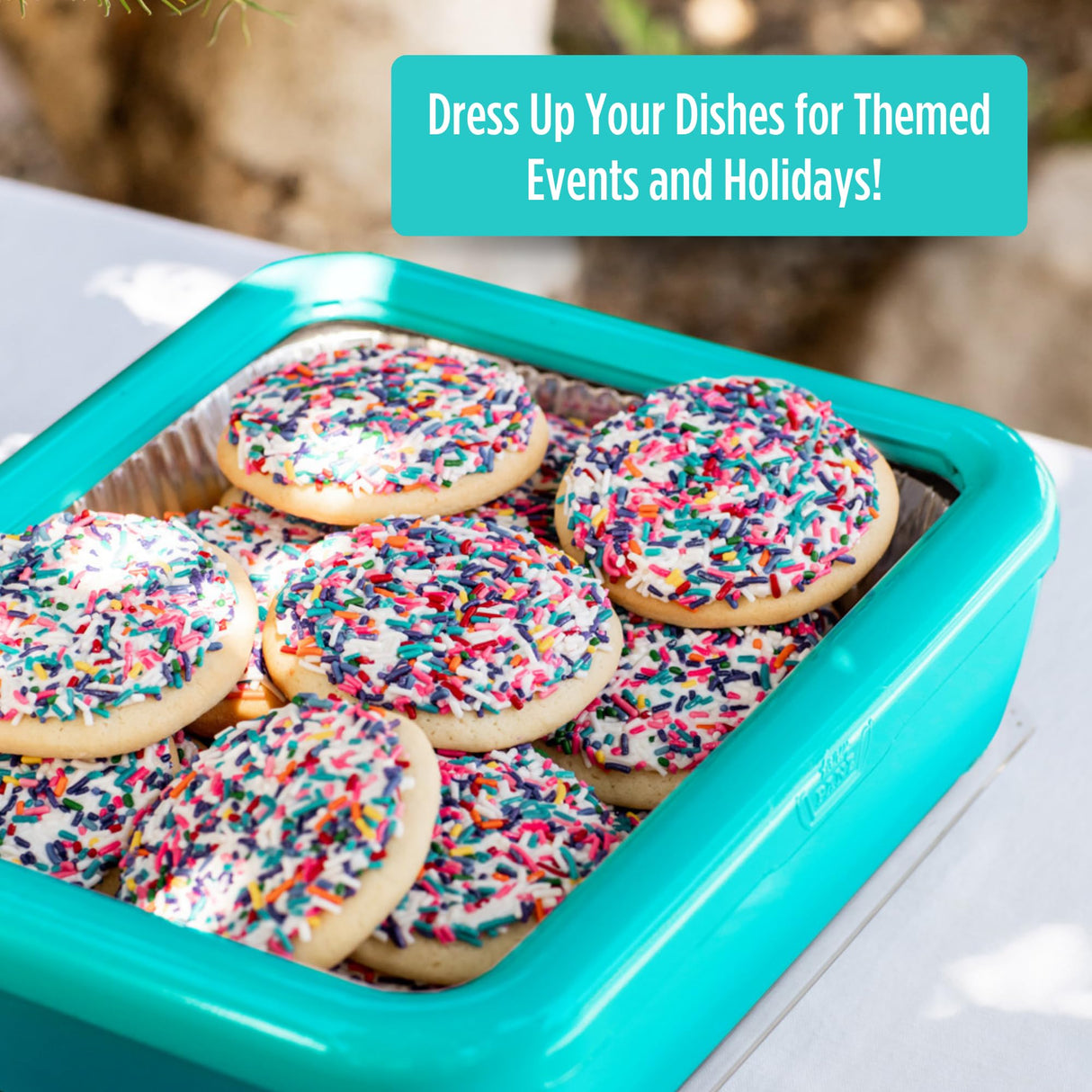 Fancy Pan Holders with Clear Lid