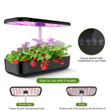 Smart Automatic Timing LED 12 Pods Indoor Herb Garden