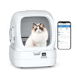 https://m.media-amazon.com/images/I/31D8BeQKTTL.jpg