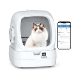 https://m.media-amazon.com/images/I/31D8BeQKTTL.jpg