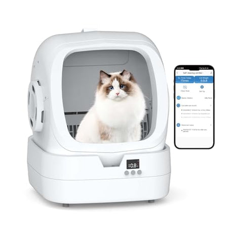 https://m.media-amazon.com/images/I/31D8BeQKTTL.jpg