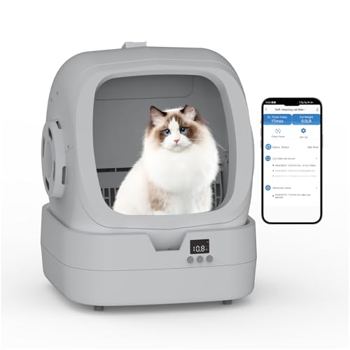 https://m.media-amazon.com/images/I/31PwJjJ-t8L.jpg
