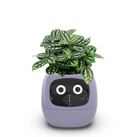 Smart Ijopla Yeashoo Plant Ai Pot