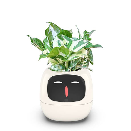 Smart Ijopla Yeashoo Plant Ai Pot