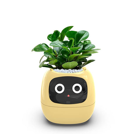 Smart Ijopla Yeashoo Plant Ai Pot