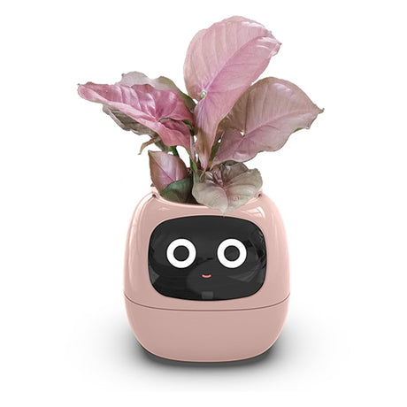 Smart Ijopla Yeashoo Plant Ai Pot