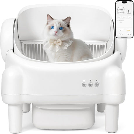 https://m.media-amazon.com/images/I/61Yp2tVNUYL._AC_SL1500_.jpg
