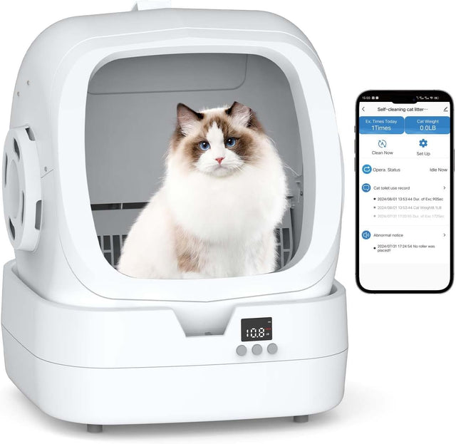 https://m.media-amazon.com/images/I/61teP46ev1L._AC_SL1500_.jpg