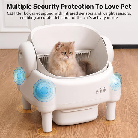 https://m.media-amazon.com/images/I/715B53OL69L._AC_SL1500_.jpg