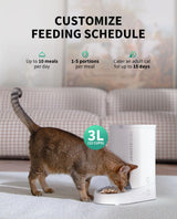 Automatic Cat Feeder