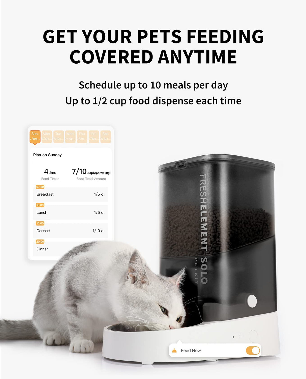 Automatic Cat Feeder