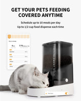 Automatic Cat Feeder