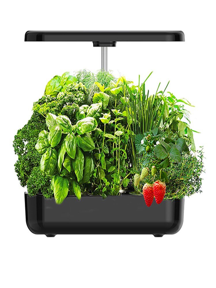 Smart Automatic Timing LED 12 Pods Indoor Herb Garden