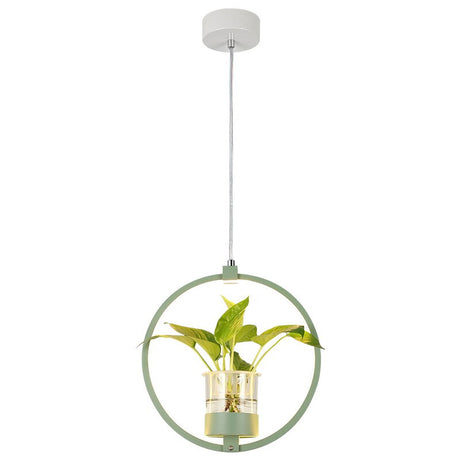 Modern Pendant Hanging Lighting Decor Bar Table Plant Lights