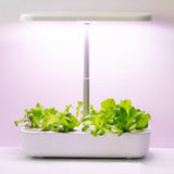 Smart Automatic Timing LED 12 Pods Indoor Herb Garden