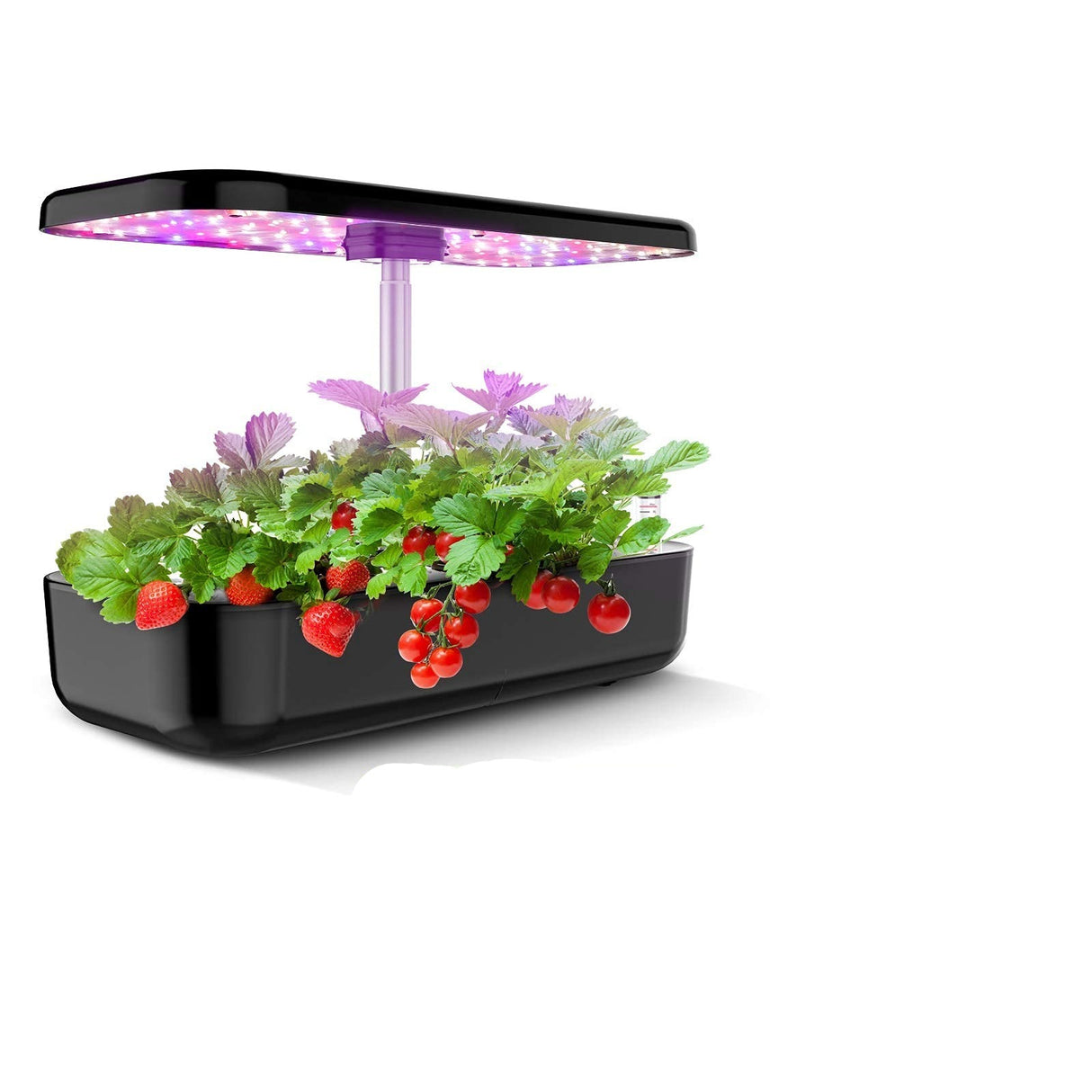 Smart Automatic Timing LED 12 Pods Indoor Herb Garden