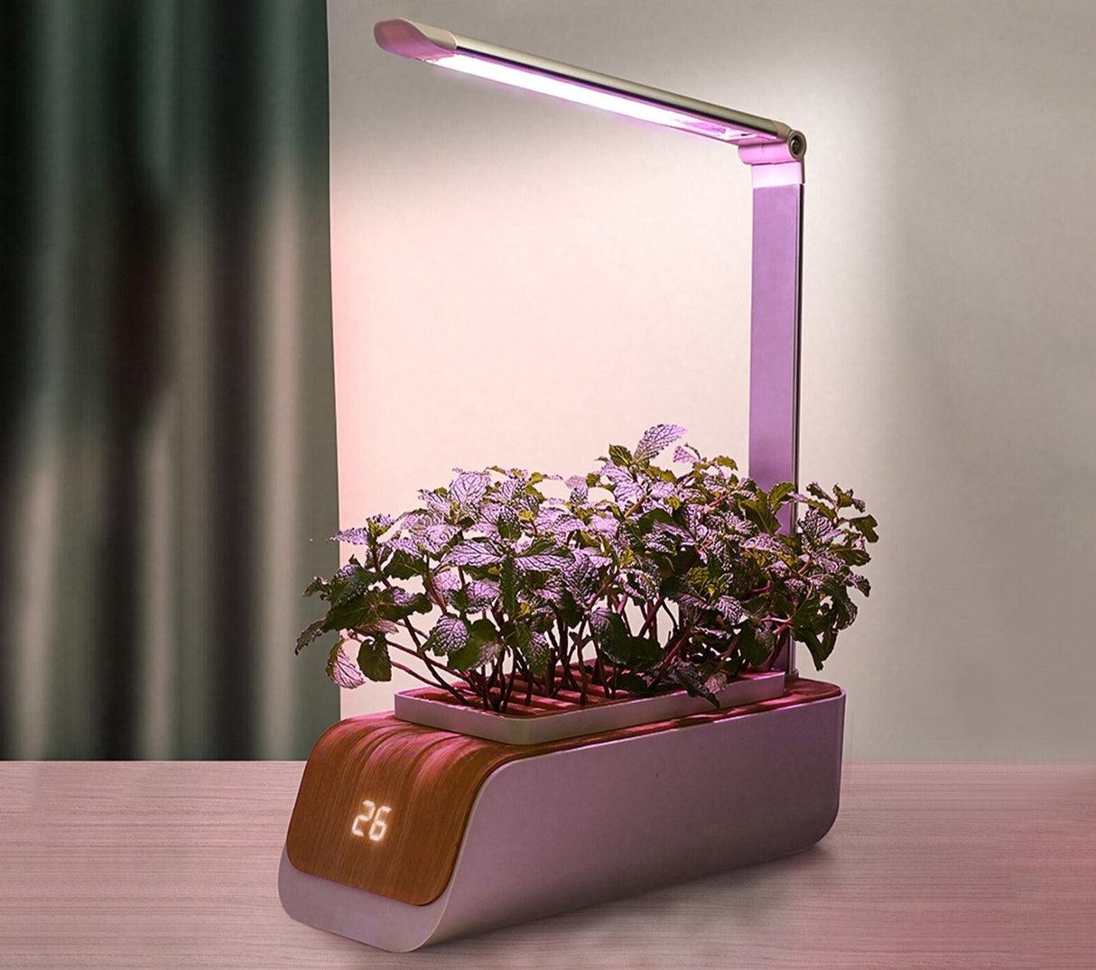 Smart Home Automatic Hydroponics  Led Growing System