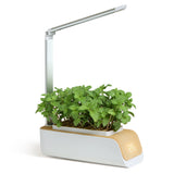 Smart Home Automatic Hydroponics  Led Growing System