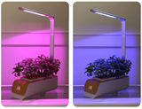 Smart Home Automatic Hydroponics  Led Growing System